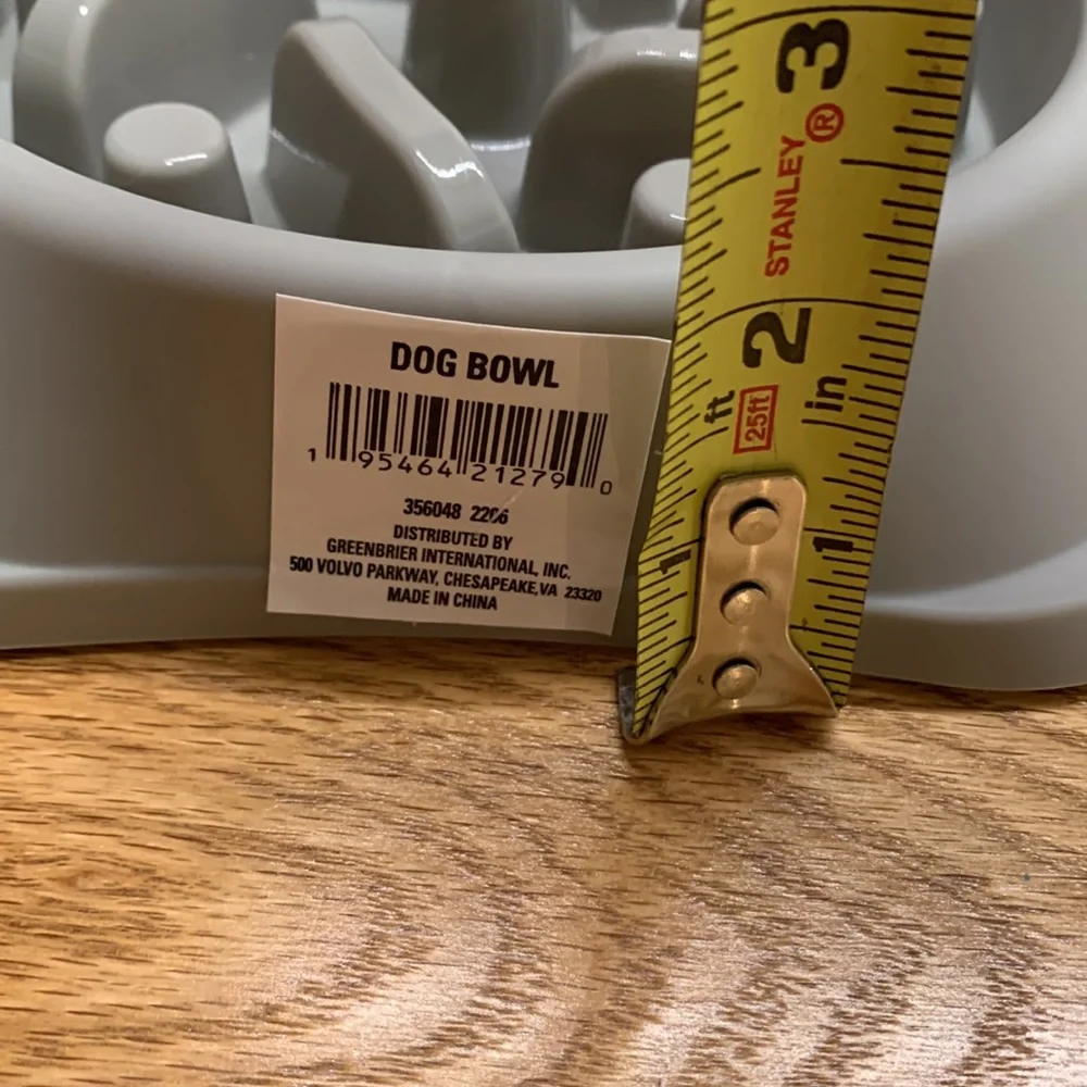 Maze slow eater dog bowl